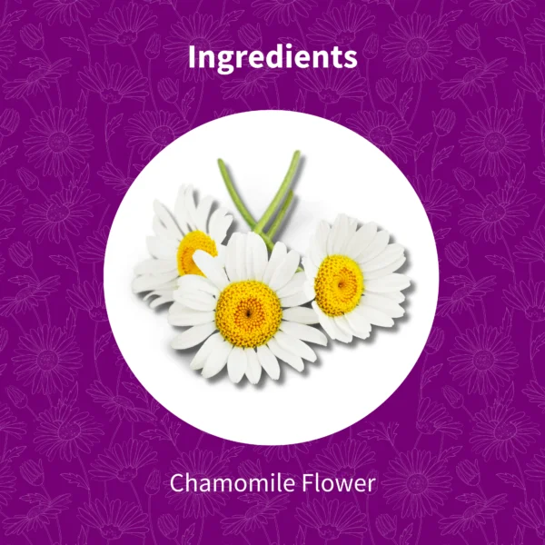 Chamomile