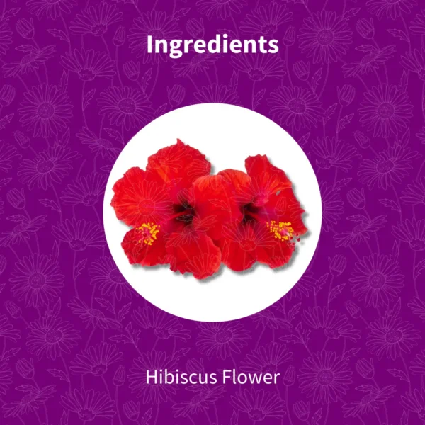 Hibiscus Flower Tea