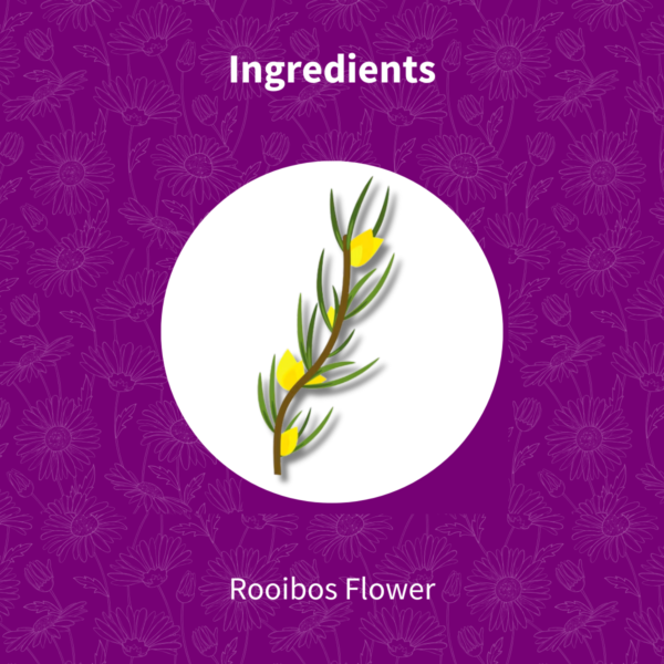 Rooibos Herbal Tea